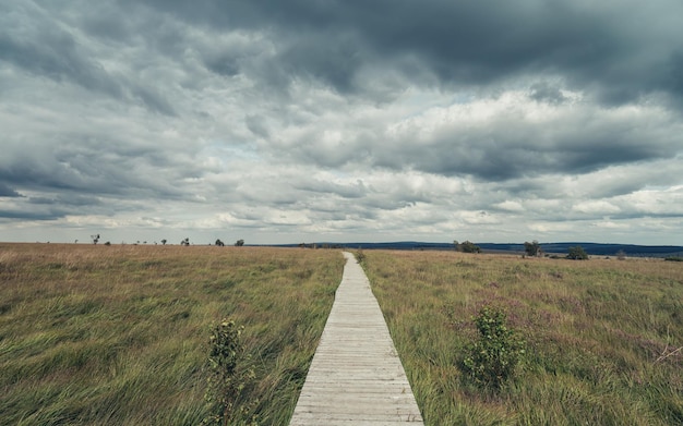 Passerella in legno attraverso l'area ricreativa alta venn (hautes fagnes) in belgio con cielo molto nuvoloso.