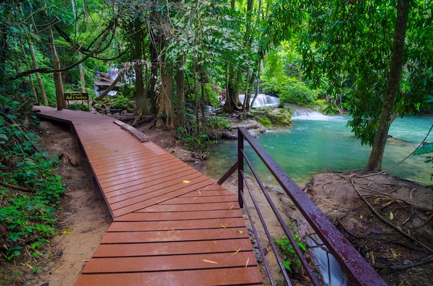 Wooden boardwalk with safety railing in summer forest