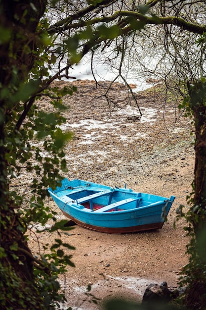 Wooden boat placed on wet shore in park