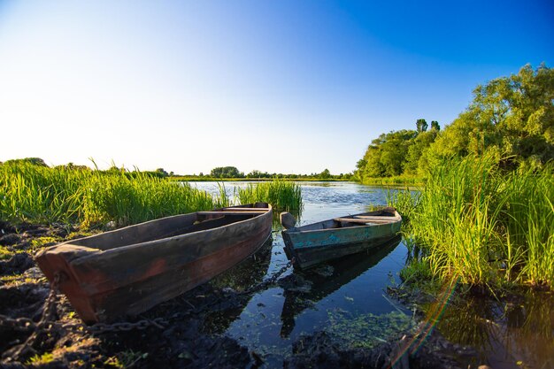 Wooden boats between the grass on the river bank