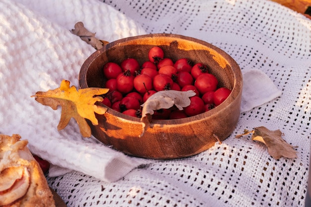 Wooden bowl with bright red ripe hawthorn berries on beige plaid with yellow fallen autumn oak leaves