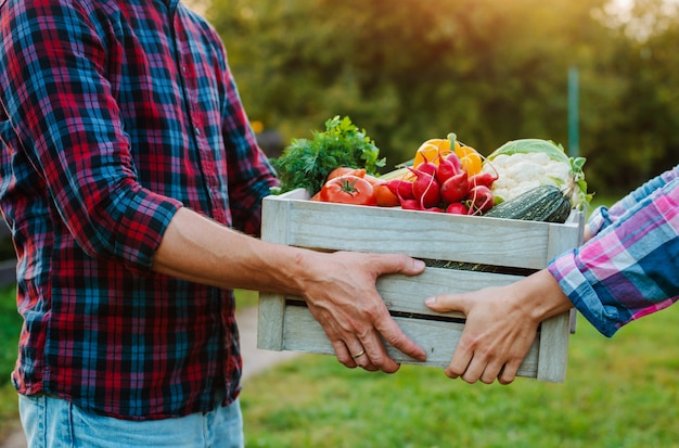 Photo wooden box with farm vegetables in the hands of men and women, close-up.