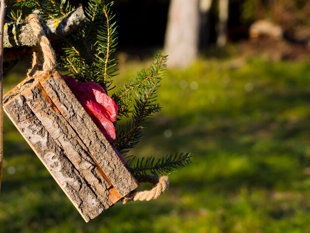 Wooden box with fir branches, hanging on a tree