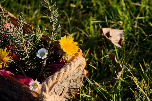 Wooden box with red paper, fir branches and dandelions