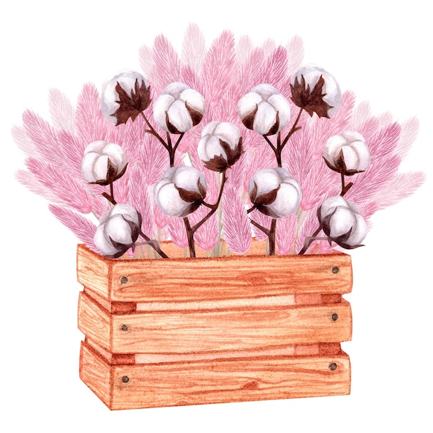 Wooden box with sprigs of cotton and pink pampas grass Handdrawn watercolor illustration isolated