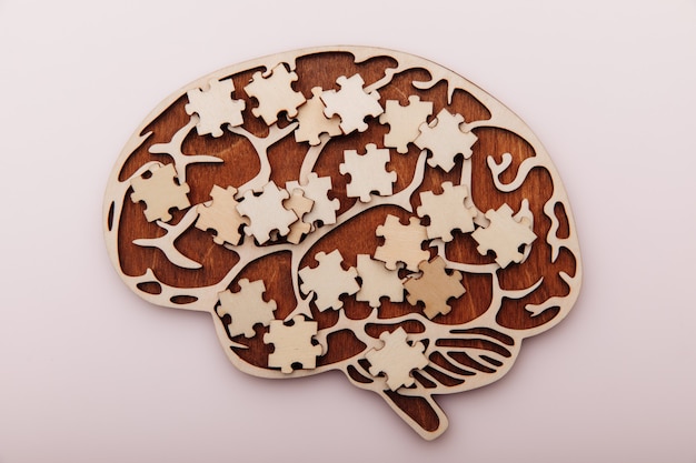 Wooden brain and puzzles mental health and problems with memory