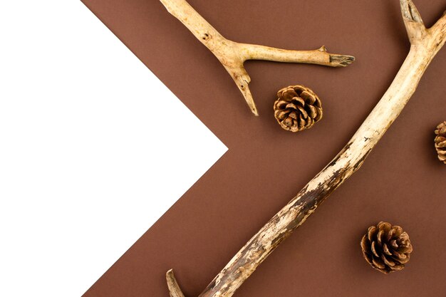 Wooden branches, fir cones flat lay on brown and white