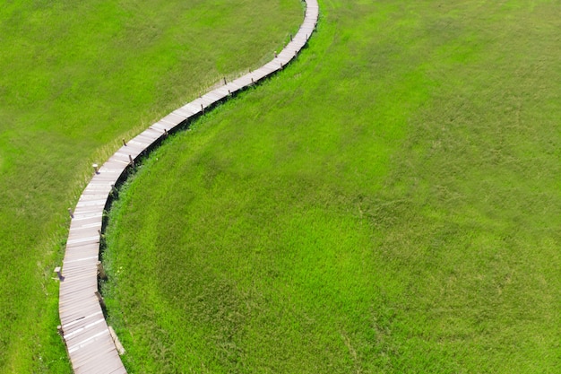 Ponticello di legno come percorso attraverso il campo di erba alto verde