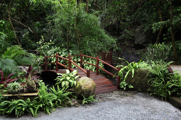 多くの植物が庭の木製の橋