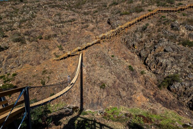 写真 自然道の木製の橋