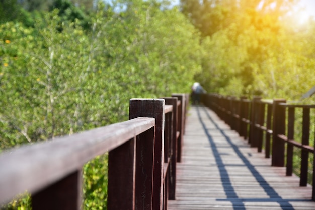 Wooden bridge and park background