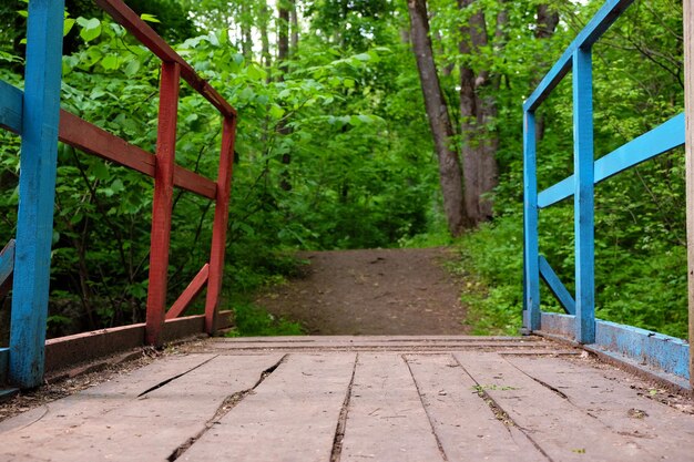 Wooden bridge in park over green trees background