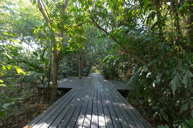 公園の木製の橋