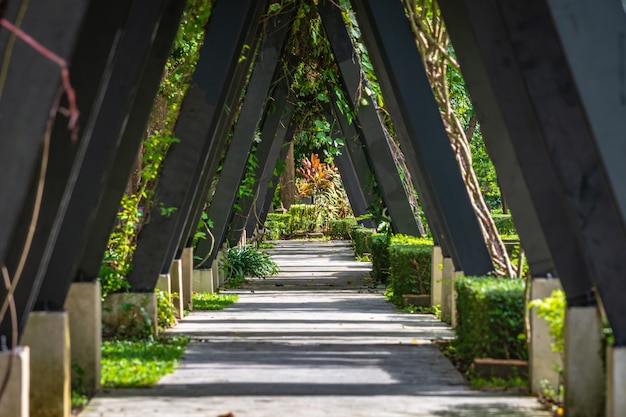 The wooden bridge in the park.