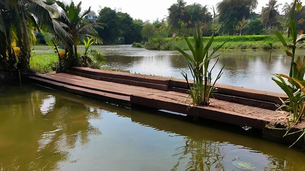 a wooden bridge over a pond with a palm tree on it