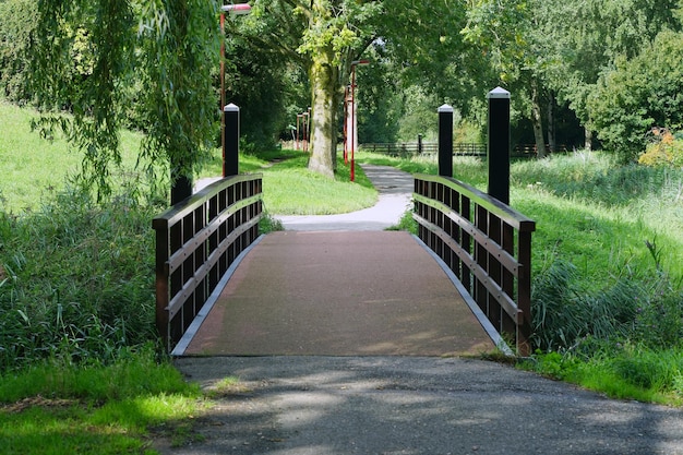 池に架かる木製の橋