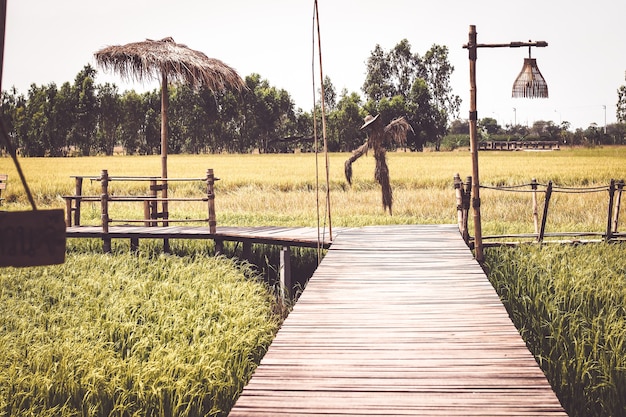 Wooden bridge in the rice field in summer Thailand background