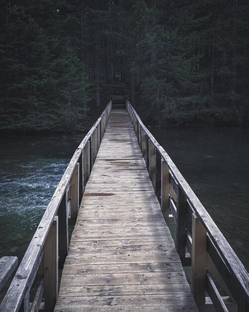 Wooden bridge over the river in coniferous forest