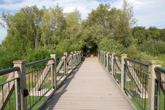 Wooden Bridge over River in Ireland