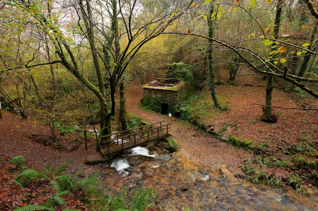 Wooden bridge over a small river and old abandoned stone house in the middle of a beautiful forest in the area of Galicia, Spain.