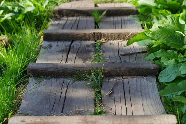 wooden bridge in summer garden with green grass way