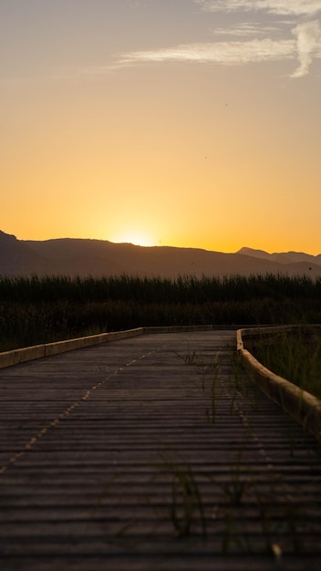 wooden bridge at sunset surrounded by plants