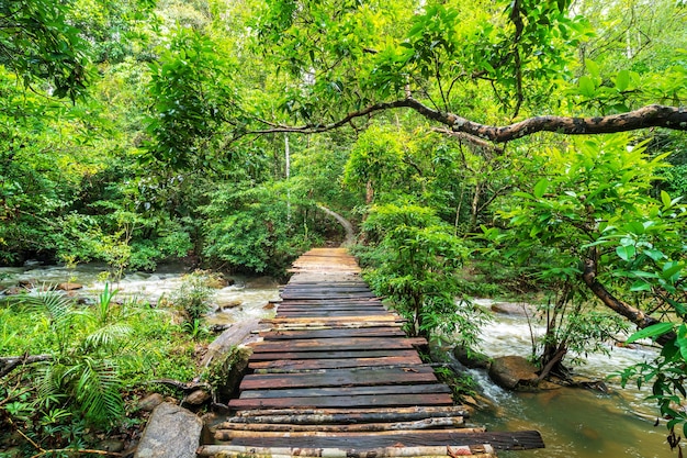 Wooden bridge over the waterfall