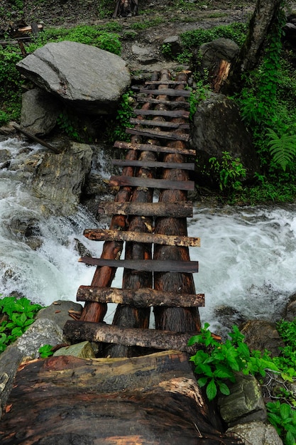 野生の川に架かる木製の橋