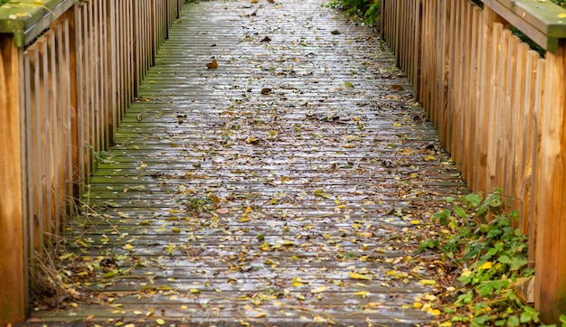 Photo wooden bridge with autumn leaves background