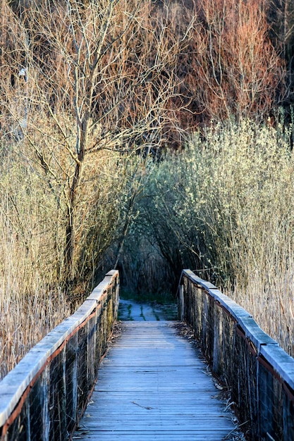 a wooden bridge with a blue line that says  walk  on it