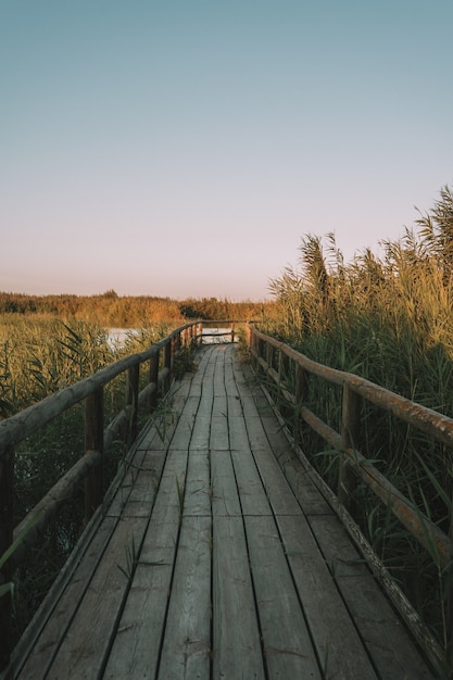 Wooden bridge with fences in nature