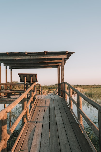 Wooden bridge with fences in nature