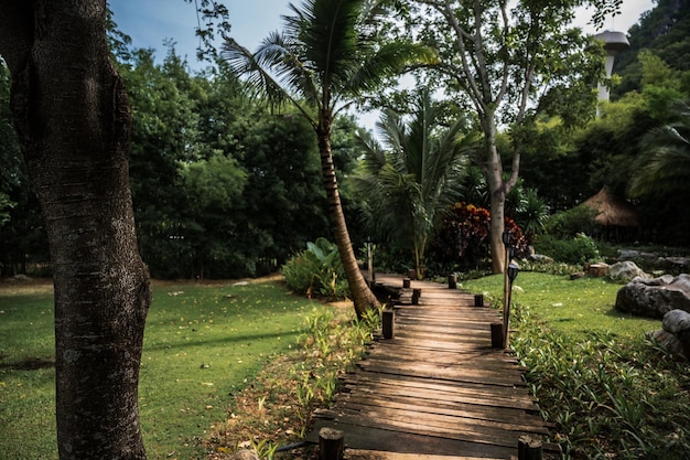 Деревянный мост с зеленым полем в сельской местности таиланда