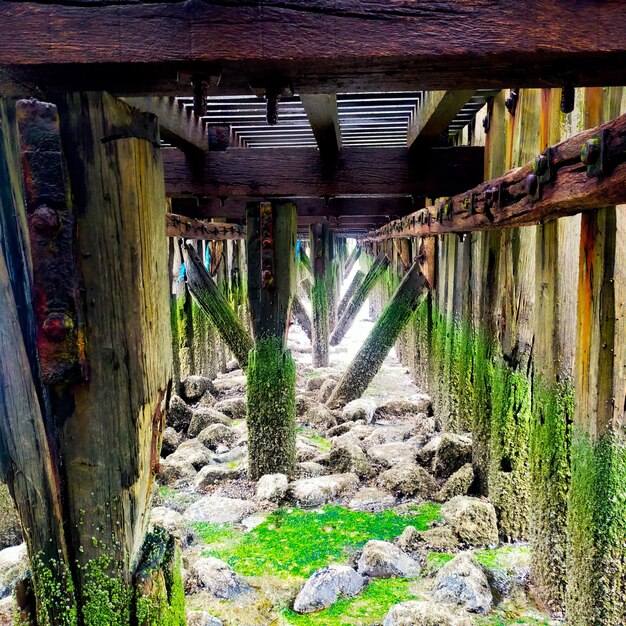 A wooden bridge with moss growing on the bottom