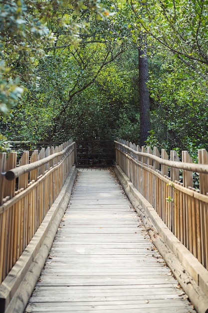 背景の木と木製の橋