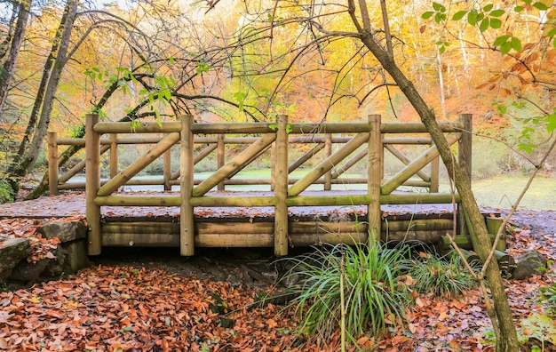 Wooden Bridge in Yedigoller National Park Turkey