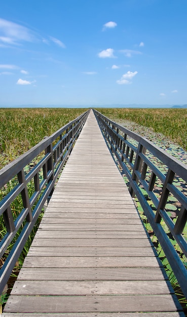 Wooden bridge