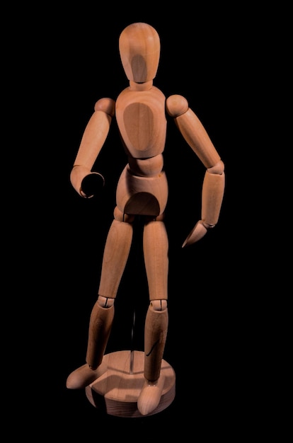 Wooden Brown Art Mannequin