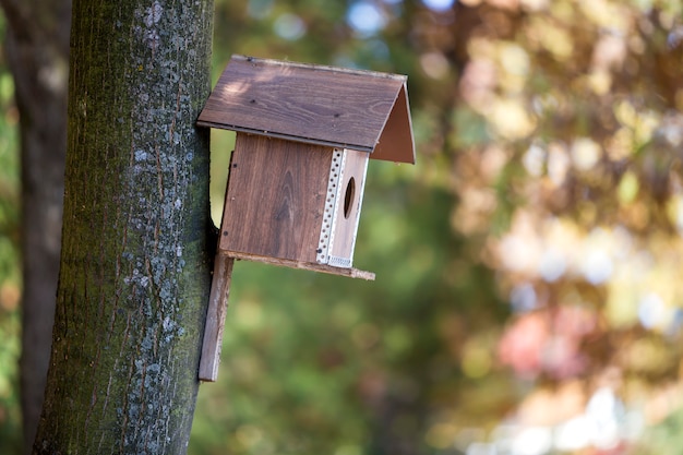 Wooden brown bird house or nesting box attached to tree trunk in summer park