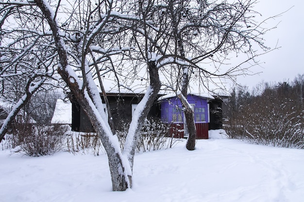 Wooden buildings and snowcovered garden in countryside