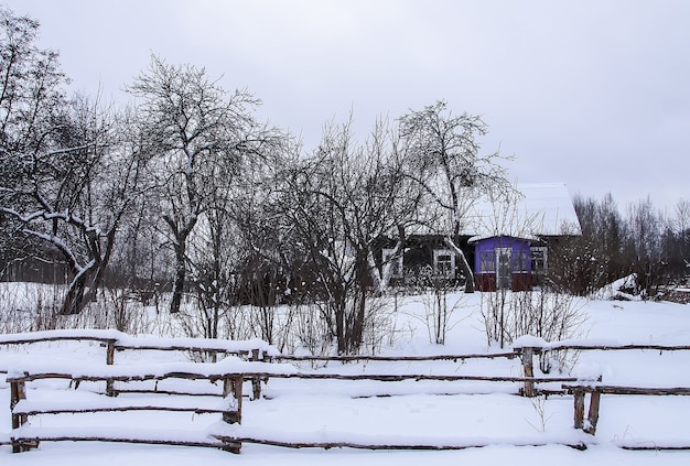 Wooden buildings and snowcovered garden in countryside