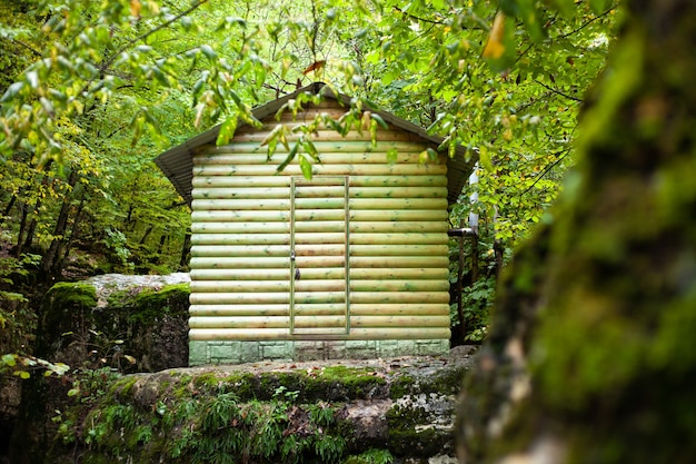 初秋の森の木造小屋