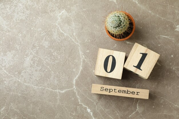 Wooden calendar with 1 september and cactus on gray textured background