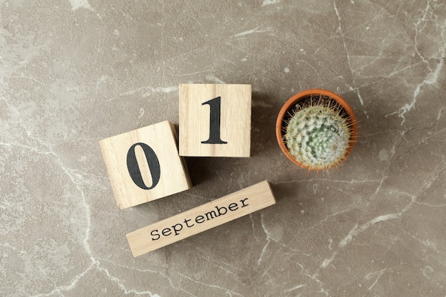 Photo wooden calendar with 1 september and cactus on gray textured background