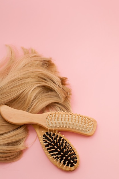 Wooden combs and blonde hair on a pink background with a place for text