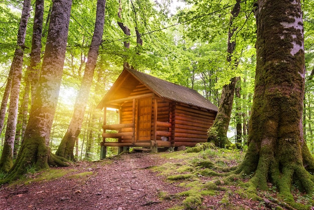 Foto cottage in legno nella foresta vicino al lago biogradsko in montenegro