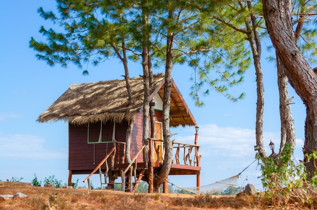 Wooden cottage house in a pleasant country farm to live in on a clear day with beautiful blue sky.