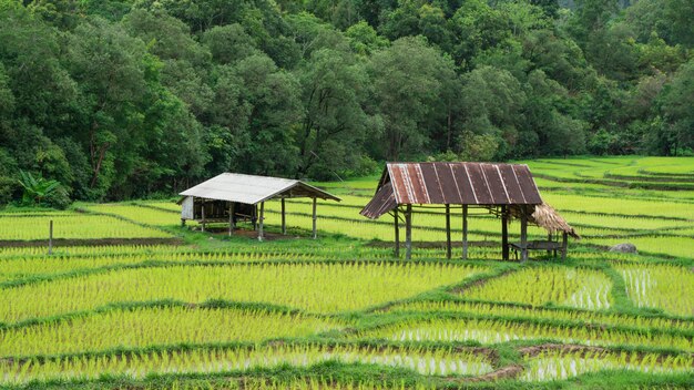 Wooden Cottage With Mountain Scenery