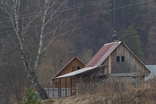 Деревянный загородный дом в лесу, телефотосъемка