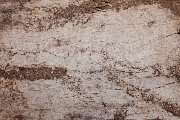 Wooden cracked background texture